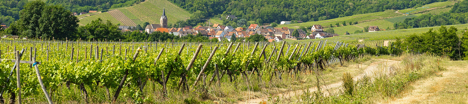 Ambiance Rapido Série 6F